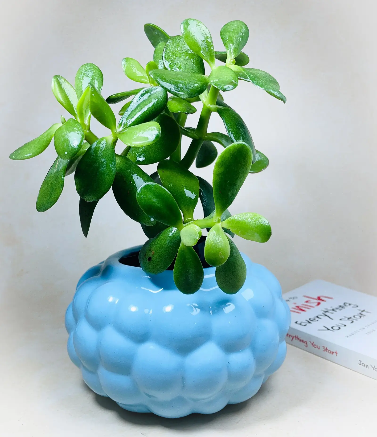 Bubble Ceramic Indoor Planter Blue