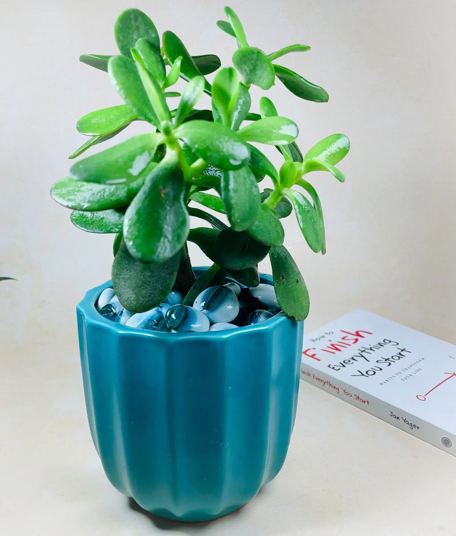 Fluted Indoor Ceramic Planter