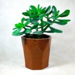 EarthTone Hexa Ceramic Planter Brown 1