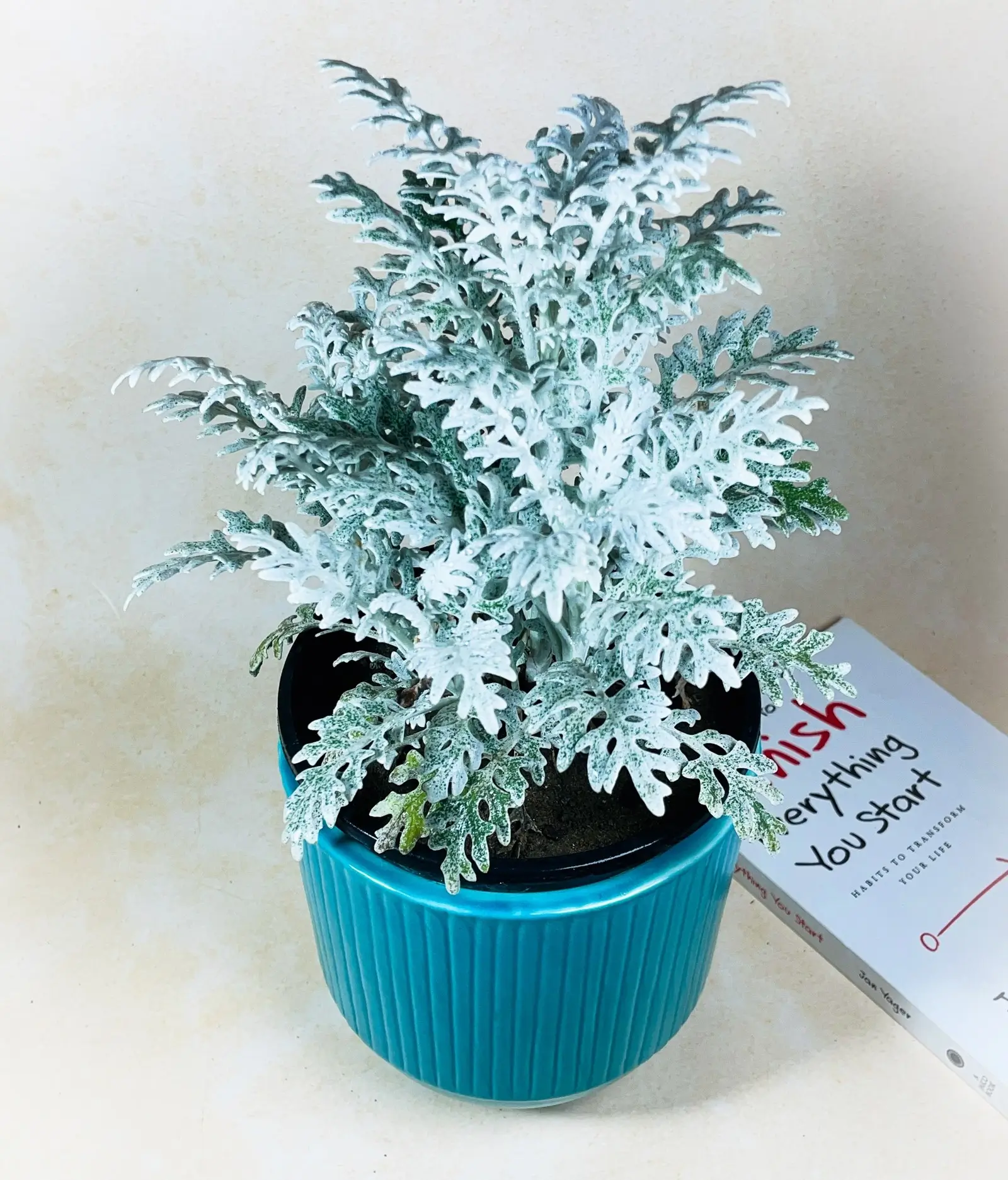 Modern Wave Ceramic Planter